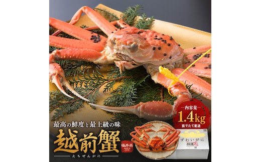 期間限定 茹で 越前ガニ 約1.4kg以上 1杯 食通もうなる本場の味をぜひ、ご堪能ください カニ 蟹 かに 茹でカニ 越前蟹 カニセット 魚介 魚介類 海鮮 海鮮セット 福井 福井県 若狭町