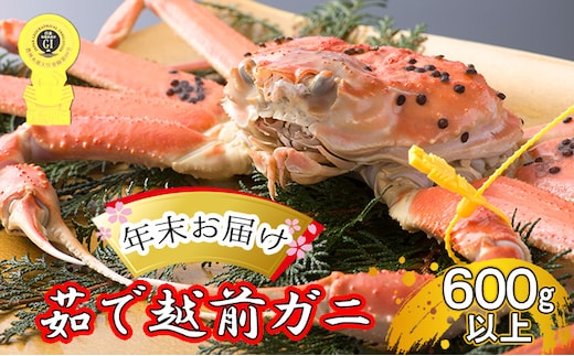 茹で 越前ガニ 約600g以上 1杯 年末配送 食通もうなる本場の味をぜひ、ご堪能ください 越前かに 蟹 カニ かに ボイルカニ ボイル蟹 ポーション ズワイガニ ずわい蟹 海鮮 福井 福井県 若狭町