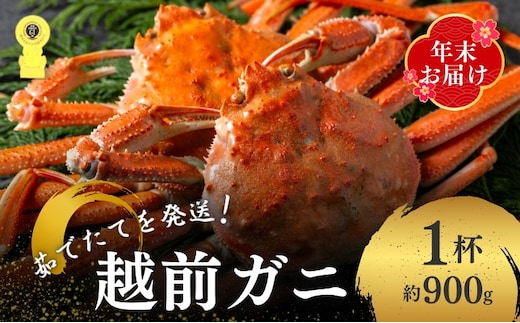 茹で 越前ガニ 約900g以上 1杯 年末配送 食通もうなる本場の味をぜひ、ご堪能ください 越前かに 蟹 カニ かに ボイルカニ ボイル蟹 ポーション ズワイガニ ずわい蟹 海鮮 福井 福井県 若狭町