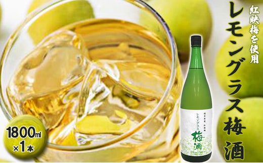 福井県産 紅映梅を使用した レモングラス梅酒（1800ml）1本 お酒 洋酒 リキュール リキュール類 