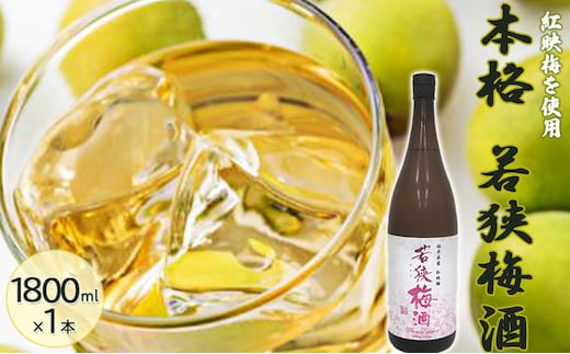 福井県産 紅映梅を使用した本格梅酒 若狭梅酒（1800ml）1本 お酒 洋酒 リキュール リキュール類 