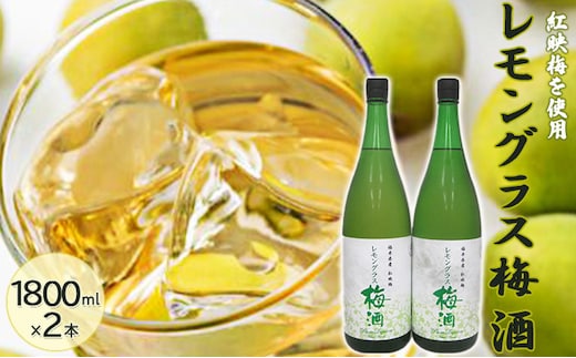 福井県産 紅映梅を使用した レモングラス梅酒（1800ml）2本セット お酒 洋酒 リキュール リキュール類 