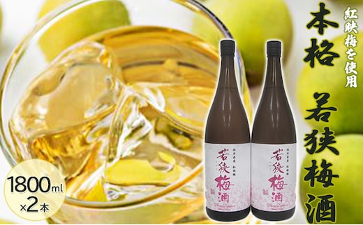 福井県産 紅映梅を使用した本格梅酒 若狭梅酒（1800ml）2本セット お酒 洋酒 リキュール リキュール類 