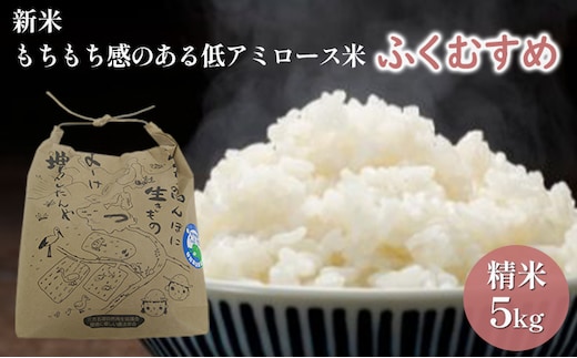ふくむすめ5kg（令和8年度産）もちもち感のある低アミロース米 特別栽培米 若狭・天狗山農園 お米 人気 もち米 食感 農薬 化学肥料