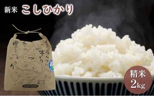 【先行予約】こしひかり2kg（令和7年度産）特別栽培米 若狭・天狗山農園 お米 代表 食感 精米 農薬 化学肥料