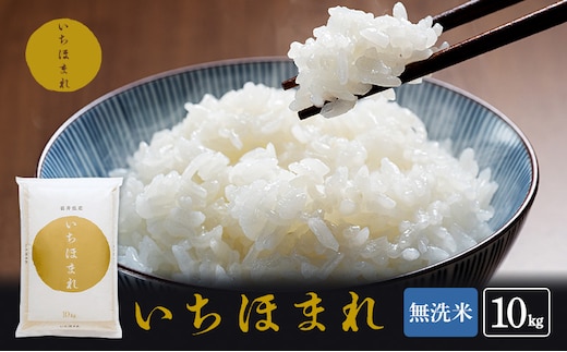 無洗米 令和7年産 いちほまれ 10kg 福井 高級ブランド米 お米 おこめ 米 コメ こめ 白米 精米 ご飯 ごはん 福井県