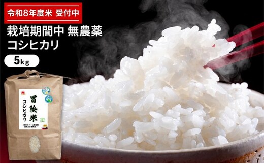 令和8年産 有機JAS認証コシヒカリ 5kg お米 精米 白米 玄米 ブランド米 銘柄米 ご飯 おにぎり お弁当 和食 産地直送 粘り 香り 旨み つや白米