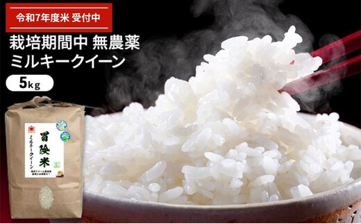 令和7年産 有機JAS認証ミルキークイーン 5kg お米 精米 白米 玄米 ブランド米 ご飯 おにぎり お弁当 もちもち 冷めてもおいしい玄米