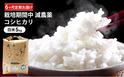 栽培期間中 減農薬コシヒカリ 白米5kg 6ヶ月定期お届け お米ブランド米 精米 ご飯 おにぎり お弁当 和食 福井県認証特別栽培米 粘り 香り 旨み つや 