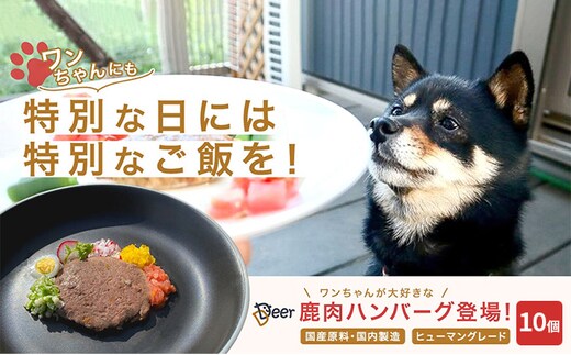 鹿肉ドッグフード 鹿肉ハンバーグ（犬用） 10個（約50g×10個） 加工食品 お肉 家族 健康 食事 大切 ペット 自然 新鮮 動物 高品質 安心 安全 国産 子犬 老犬 栄養 小分け 