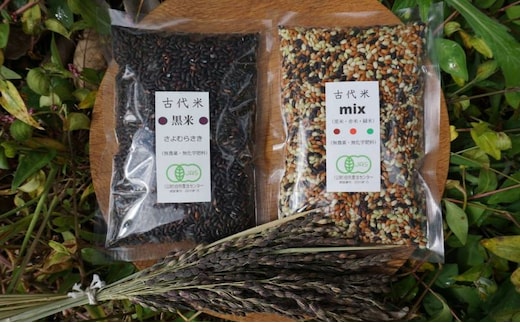有機JAS認証 栽培期間中農薬不使用 古代米2種類セット［高島屋選定品］ 古代米セット もっちり 黒米 赤米 緑米 食卓 食材 穀物 国産 日本産 