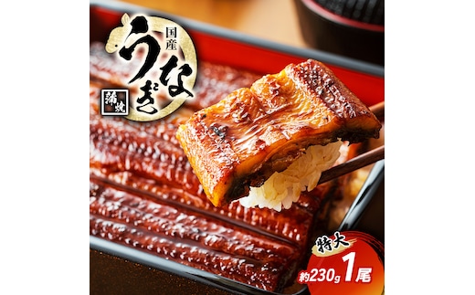 国産うなぎ 特大 蒲焼き 約230g前後 1尾 国産 うなぎ ウナギ 鰻 国産鰻 うなぎの蒲焼き ウナギの蒲焼 国産うなぎ蒲焼 国産鰻の蒲焼 魚 お魚 魚介 魚介類 海鮮 海鮮セット 惣菜 職人 手焼き ギフト 贈り物 プレゼント 福井 福井県 若狭町