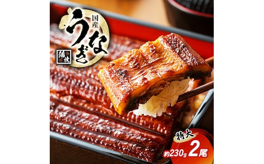 国産うなぎ 特大 蒲焼き 約230g前後 2尾 国産 うなぎ ウナギ 鰻 国産鰻 うなぎの蒲焼き ウナギの蒲焼 国産うなぎ蒲焼 国産鰻の蒲焼 魚 お魚 魚介 魚介類 海鮮 海鮮セット 惣菜 職人 手焼き ギフト 贈り物 プレゼント 福井 福井県 若狭町
