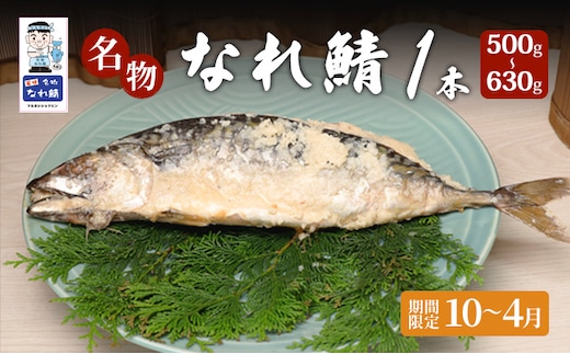 名物なれ鯖 1本 500g～630g 期間限定10月から翌年4月 