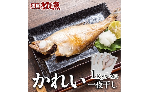 エテカレイ干物 1kg(5～8尾) 魚 干物 エテカレイ 加工食品 ひらき 魚介 魚介類 魚の開き 焼き魚 焼魚 干物 ひもの おかず 福井県