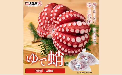 茹でまだこ 福井県産 1.2Kg （2～3杯）タコ ボイル 魚介 魚介類 海鮮 国産 福井県 若狭