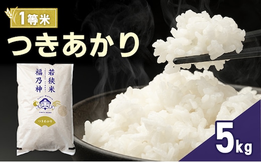 令和8年産 つきあかり 5kg（一等米・神谷農園） 米 お米 若狭町