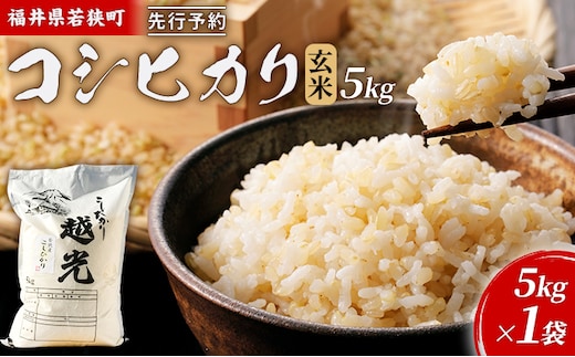 【1月お届け】令和8年産 若狭町コシヒカリ玄米5kg 米 お米 こしひかり 福井県