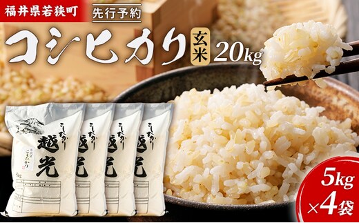 【11月お届け】令和8年産 若狭町コシヒカリ玄米20kg 米 お米 こしひかり 福井県