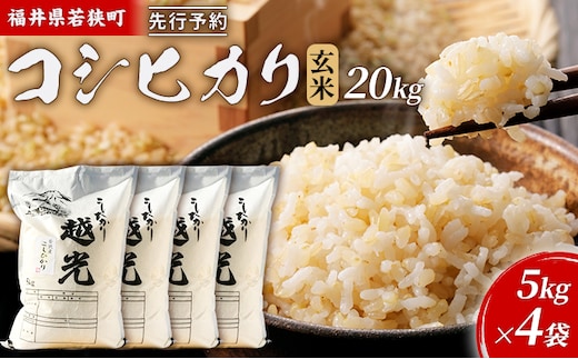 【12月お届け】令和8年産 若狭町コシヒカリ玄米20kg 米 お米 こしひかり 福井県