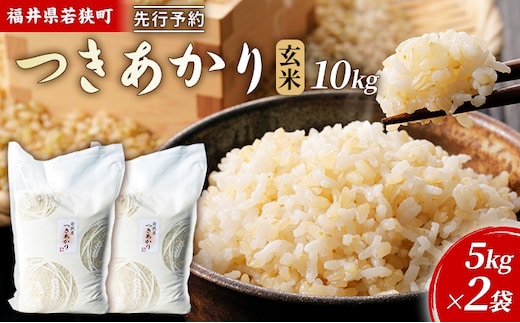 【12月お届け】令和8年産 若狭町ツキアカリ玄米10kg 米 お米 つきあかり 福井県