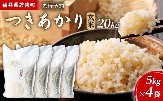 【10月お届け】令和8年産 若狭町ツキアカリ玄米20kg 米 お米 つきあかり 福井県