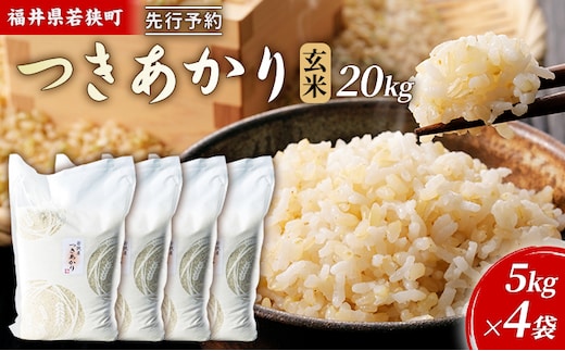 【11月お届け】令和8年産 若狭町ツキアカリ玄米20kg 米 お米 つきあかり 福井県