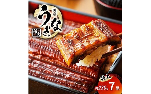特大うなぎの蒲焼き 国産(愛知県産) 約230g前後 7尾