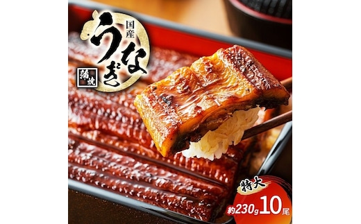 特大うなぎの蒲焼き 国産(愛知県産) 約230g前後 10尾