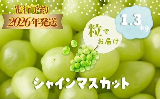 【2026年先行予約】シャインマスカット 約1.3kg （粒）
