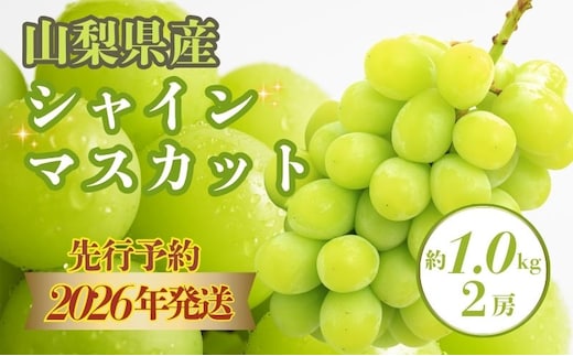 【2026年 先行予約】山梨県産 シャインマスカット 約1.0kg ２房【アズールヤード】 | フルーツ スイーツ 贈答用 プレゼント ギフト