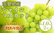 【2026年 先行予約】山梨県産　シャインマスカット 約1.0kg ２房【アズールヤード】 | フルーツ スイーツ 贈答用 プレゼント ギフト