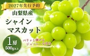 【2027年　先行予約】山梨県産　シャインマスカット1房（500g以上）