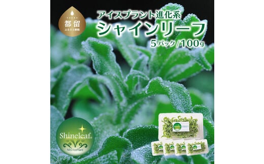 アイスプラント進化形 シャインリーフ（100g入り×5パック）