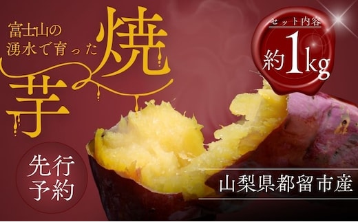 【先行予約】富士山の湧水で育った焼きいも【アズールヤード】 サツマイモ さつまいも スイーツ 贈答用 プレゼント ギフト