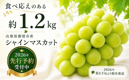 【2026年 先行予約】山梨県産 シャインマスカット 約1.2kg (２房～3房)