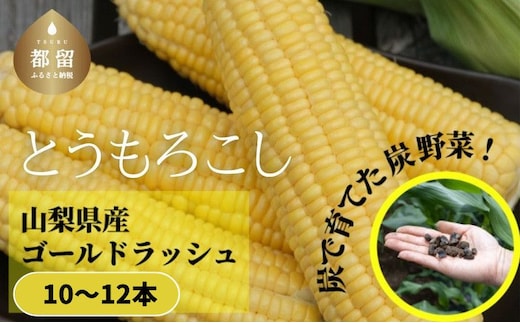 【2026年先行予約】山梨県都留市産 ゴールドラッシュ10〜12本 ｜新鮮 朝採れ もぎたて発送 甘い とうもろこし トウモロコシ 産地直送 送料無料【炭香ファーム】