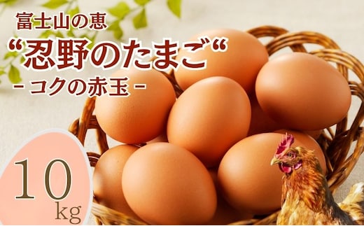 富士山の恵“忍野のたまご“‐コクの赤玉‐10㎏