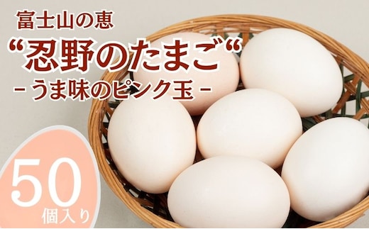 富士山の恵“忍野のたまご“‐うま味のピンク玉‐50個入