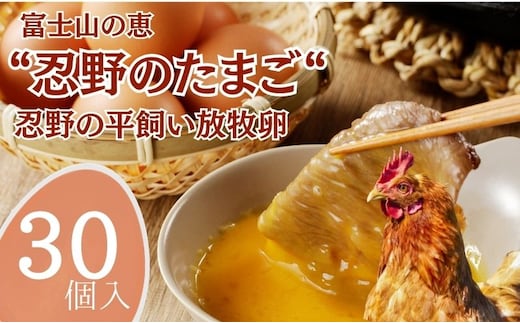 忍野の平飼い放牧卵 30個