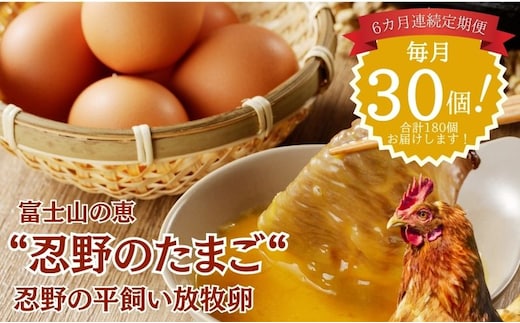 【定期便】忍野の平飼い放牧卵 6か月連続定期便（毎月30個×6か月 合計180個）