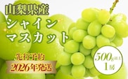【2026年先行予約】　シャインマスカット500g以上（1房）