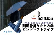 【藤巻百貨店】Ramuda 晴雨兼用 耐風折りたたみ傘 甲州織ロンドンストライプ/スカイブルー