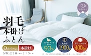 【クイーン】【本掛け】羽毛掛けふとん　ソフラーノ　マシュマロタッチ・保温性・フィット性・快適性（220cm×210cm）