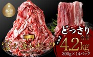 【ふるさと納税】 訳あり！富士湧水ポークの切り落とし4.2kg | ( 300g × 14パック ) 富士湧水ポーク 小分け 大容量 国産 山梨県 都留市 冷凍 豚 ぶた 肉 訳アリ わけあり おかず 便利