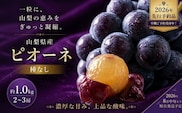 【2026年 先行予約】山梨県産　種なしピオーネ2~3房(約1.0Kg）