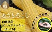 【2026年先行予約】山梨県都留市産 ゴールドラッシュ10〜12本 ｜新鮮 朝採れ もぎたて発送 甘い とうもろこし トウモロコシ 産地直送 送料無料【炭香ファーム】