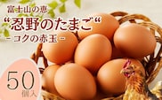 富士山の恵“忍野のたまご“‐コクの赤玉‐50個入