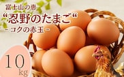 富士山の恵“忍野のたまご“‐コクの赤玉‐10㎏