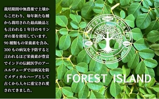 モリンガティー・モリンガパウダー【FOREST ISLAND】｜ 無添加